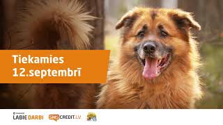 Palīdzēsim sagatavot patversmi ziemai!