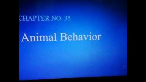 zoology| lecture 6| habitat selection| 3rd year