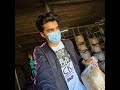 mushroom farming🍄#mushroomfarming #mushroomcultivation #short