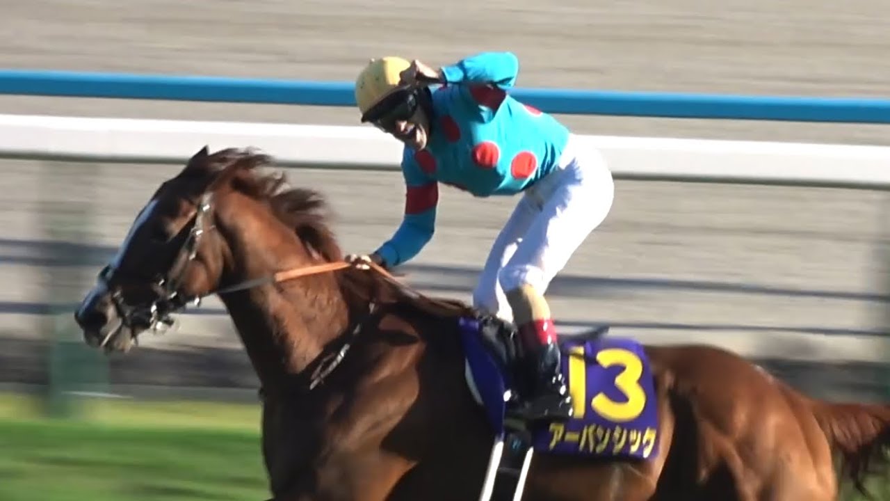 現地】2024 G1 菊花賞 アーバンシック C.ルメール【生ファンファーレ 現地】2024 G1 菊花賞 アーバンシック C.ルメール【生ファンファーレ