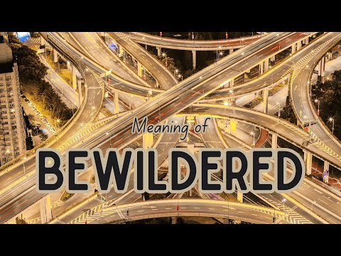 What is the meaning of Bewildered?
