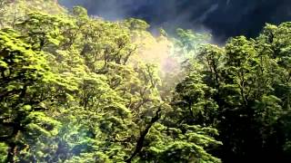 ► Planet Earth - Amazing Nature Scenery (1080p HD)