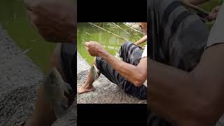 Best Fishing S 2022 - Fishing S 2022 In Village - Fishing S 2022(P - 40) Resimi