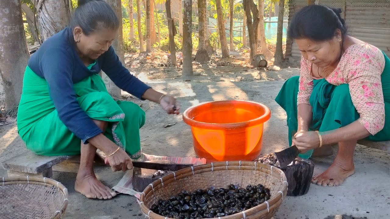 BODO TRADITIONAL RECIPE  OF SNAIL//VILLAGE LIFE//NORTH EAST INDIA VILLAGE:ADA ALFRED