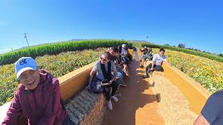 Spina Farms Pumpkin Patch 2025