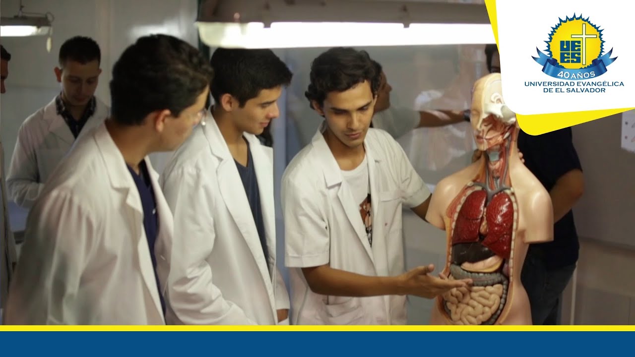 DOCTORADO EN MEDICINA - UEES