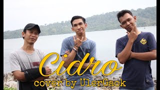 Cidro - Didi Kempot ( cover by UlerGaok ) screenshot 5
