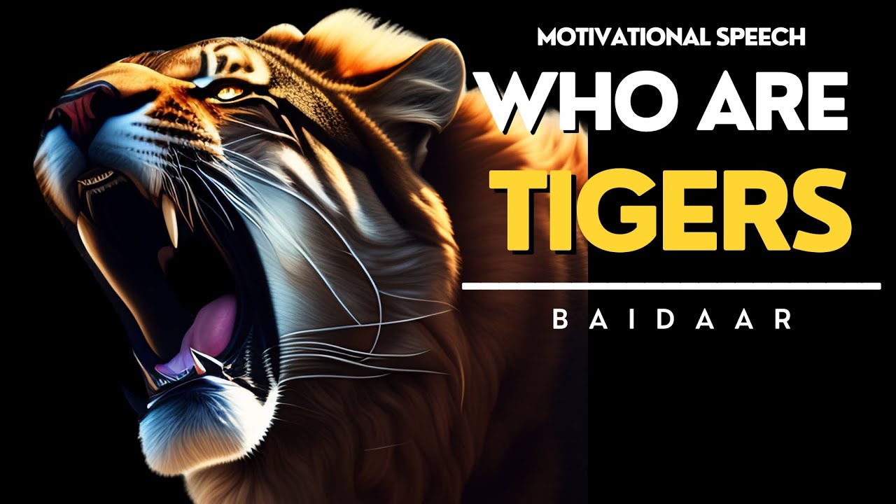 WHO ARE TIGERS TIGERS MOTIVATIONAL VIDEO A SPEECH YOU NEED TO HEAR