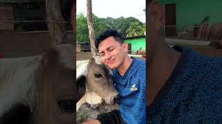 El Toro Colombiano 😍