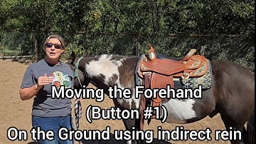 Groundwork Training- Moving the forehand, Button 1, using the Saddle,  halter, indirect rein cues