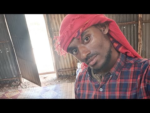 Abdoosh Jamaal Aliyyii Istiidio Haqa Arguuf Ta A Namni Umriin HAFEEF