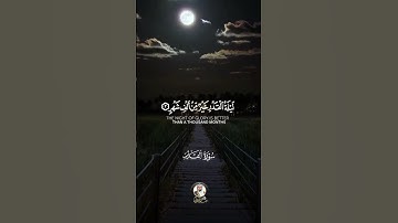 سورة القدر Surah Al-Qadr #عبدالولي_الاركاني #abdulwali_alarkani
