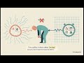 Understanding Your Sleep Chapter 2