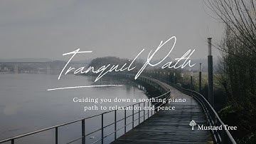 Tranquil Path 🍀 A peaceful piano piece that encourages introspection and tranquil thoughts