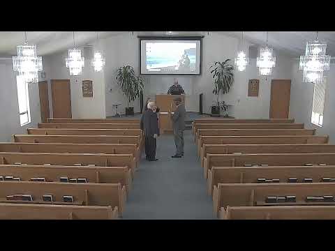 Video preview