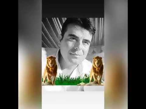 YÜRÜ YALAN DÜNYA