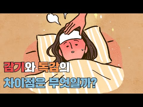[하루꿀팁] 감기와 독감의 차이점은 무엇일까요? 차이점과 감기와 독감예방법, 접종시기까지!