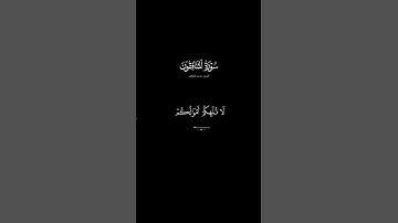 تلاوة خاشعة سورة المنافقون #تلاوة #المنافقون