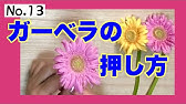 カーネーションの押し花の組み立て方 Youtube カーネーションの押し花の組み立て方 Youtube