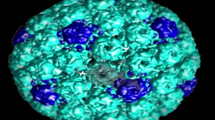 Ebola: The world's most dangerous Virus (part 3)