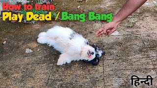 How to train Play Dead/ Bang Bang | Puppy training | Train your puppy with easy steps