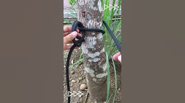 Incredible Circular Knots  #knot #knottutorial #knotting