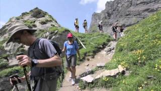 International Field Research Program: A lifespan approach to health and aging