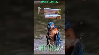 Metrox Gel For The Management Of Gingivitis Periodontitis