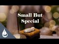 "Small But Special" (Micah 5:2-5) - Terry Smith
