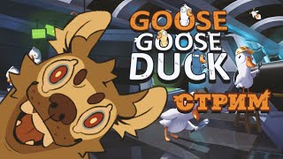 Уроки ЭТИКЕТА в Goose Goose Duck