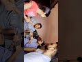 Funny Reel 😂😂#funny#shorts#short