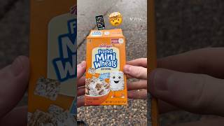 Frosted Mini Wheats Creative Photography trick 📱#shorts