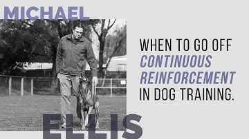 When to Go Off Continuous Reinforcement - Michael Ellis