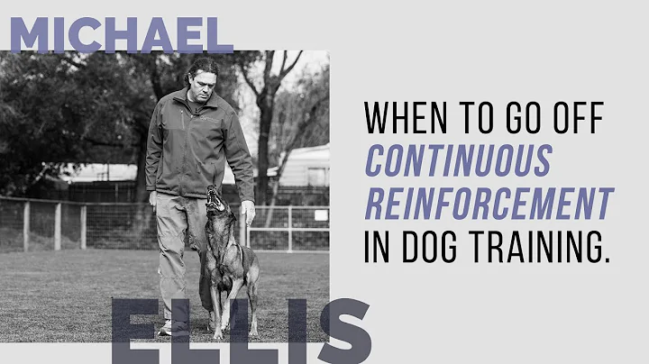When to Go Off Continuous Reinforcement - Michael Ellis