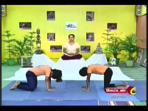 Dr. Lakshmi Andiappan's Yoga Therapy for Various Ailments 03.01.2013 ashtanga mysore