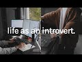 A calm productive day as an introvert student edition