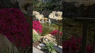 Famous Graves - Vol. 317: Leonard Nimoy