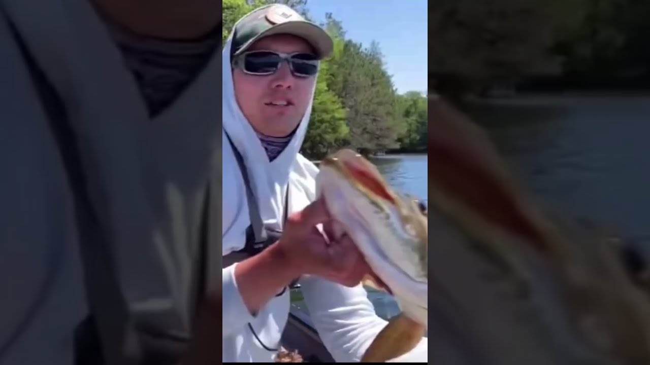 BIG WISCONSIN MUSKY EATS MY PIKE Shorts Musky Muskyfishing Fishing Viral Fish Fishingvideos