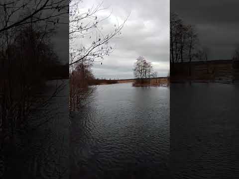 Краса природи та