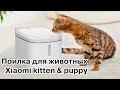 Забота о животных с новой поилкой Xiaomi Kitten & Puppy