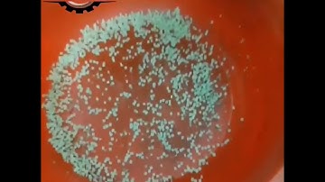 TỔNG HỢP MÁY CẮT HẠT LỰU CÔNG NGHIỆP, MÁY CẮT RAU CỦ, MÁY CẮT KHỐI VUÔNG VÀ SỢI