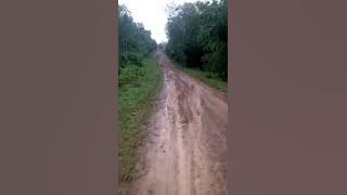 Jalan ku ijek becek nak hujan
