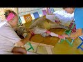 Foal Health and Recovery Assessment