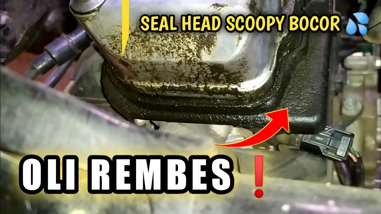 Oli Rembes Cara Ganti Seal Cover Cylinder Head - YouTube