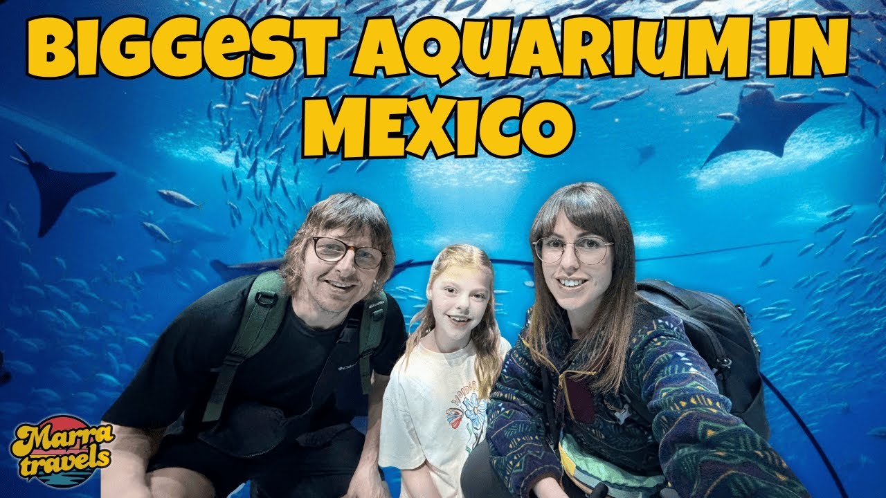 This Aquarium Is HUGE | Acuario Michin CDMX