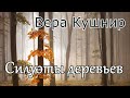 Вера Кушнир. стих - &quot;Силуэты деревьев.&quot;