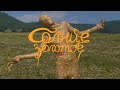 Dose, ЛСП - Солнце Золотое (Премьера клипа)