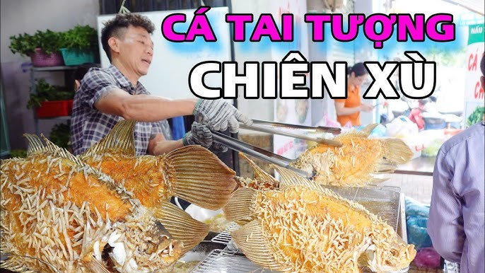 Cá Tai Tượng Có Ăn Cá Con Không? Sự Thật Về Tập Tính Ăn Của Cá Tai Tượng