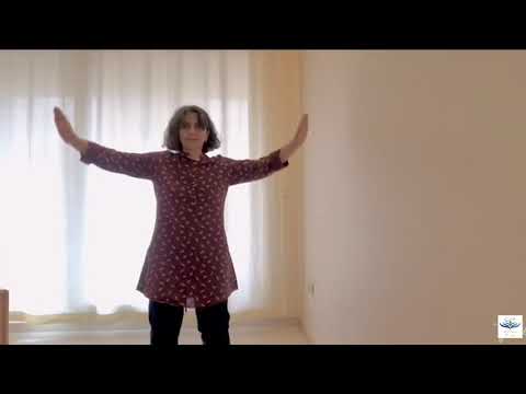Qigong: Zhan Zhuang 1st Cycle
