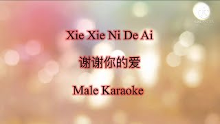 Download Lagu Xie Xie Ni De Ai 謝謝你的愛 Karaoke MP3